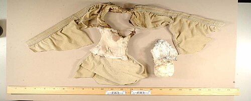 Northwest Airlines Flight 253